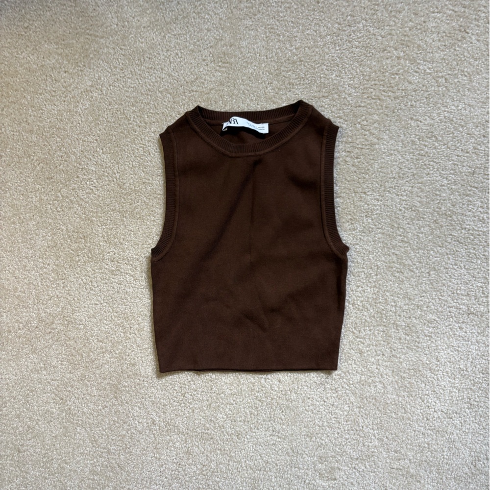 Zara Brown Profesional Knit Top